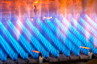 Birniehill gas fired boilers